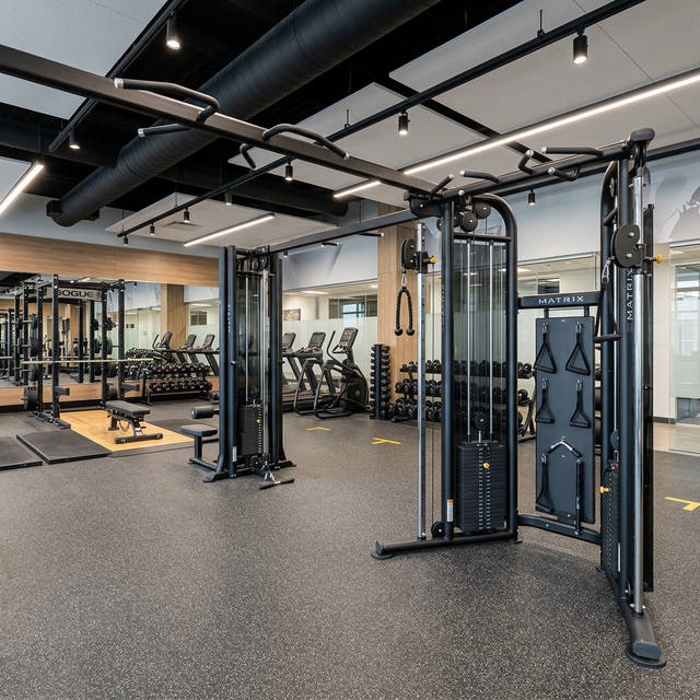 cable crossover commercial gym